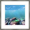 Underwater Scene - Upper Delaware River 6 Framed Print