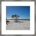 Untitled, Beauty Is A State Of Mind Framed Print