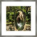 Untitled, Sculpture  By Anish Kapoor Framed Print