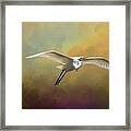 Up Up And Away Framed Print