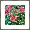 Upon A Thorn Framed Print