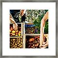 Urban Farmers Organising Crates Of Fruits And Vegetables On Truck Framed Print