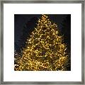 Vermont Christmas Tree Framed Print