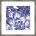 Very Peri Purple Blue Succulent Plants Garden Watercolor Interior Art Vi Framed Print