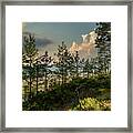 View From Dunes On The Beach Latvia Framed Print