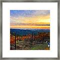 Vineyard Sunset, California Framed Print