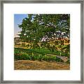 Vineyards Views Framed Print