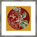 Vintage Botanical Red Berries On Circle Red On Yellow Framed Print