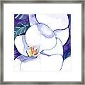 Violet In Purple Framed Print