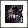 Vulture With Full Moon Framed Print