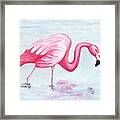 Wading Flamingo Framed Print