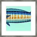 Wahoo Wa Framed Print