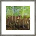 Walk With Nature 2021 Framed Print