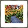 Walking Path Through The Autumn Park Framed Print