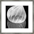 Walla Walla Onion In Black And White Framed Print