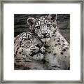 Warm Mother's Love Framed Print