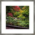 Washington Park Arboretum Fall Colors Framed Print