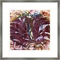 'watch Out Falling Chestnut' Framed Print