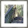 Watch Your Step 2 Framed Print