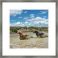 Water Chase Blue Sky Framed Print