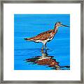 Water Walker Framed Print