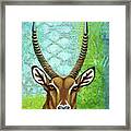 Waterbuck Abstract Framed Print