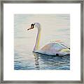 Watercolor Swan Framed Print