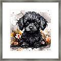 Watercolour Painting Of A Cute Black Poodle Puppy. Digital Illus Framed Print