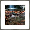 Waterfall And River Flowing With Maple Leaves On The Rocks On The River In Autumn Framed Print