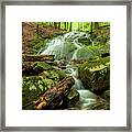 Waterfall In Summer Framed Print