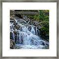 Waterfall In The Forest Framed Print