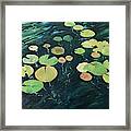 Waterlilies Framed Print