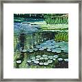 Waterlillies On The Mill Pond Framed Print