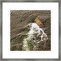 Waterscapes - Delaware River - Clean Water Photography 4 Framed Print