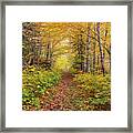 Waterville Valley Foliage Path Framed Print