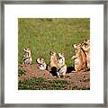 We Are Family Framed Print