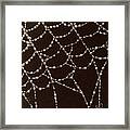 Web Of Pearls Framed Print