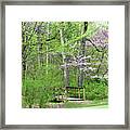 Welcome To Spring In The Forest Framed Print