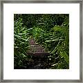 Welcome To The Jungle Framed Print