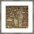 Well Camouflaged Framed Print