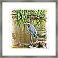West Bend Heron Framed Print