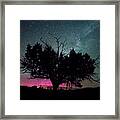 Western Juniper Tree And Pink Northern Lights With Milky Way Framed Print