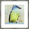 Western Kingbird Flycatcher Watercolor Painting Framed Print