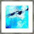 Whale Art Framed Print