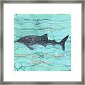 Whale Shark Swimming In The Emerald Ocean Framed Print