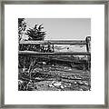 What Once Was Framed Print