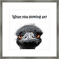 What You Looking At? Framed Print