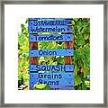 What's Growing In The Garden Framed Print