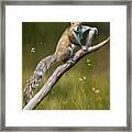 Whats Up Framed Print