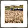 Wheat Fields And Silos Framed Print